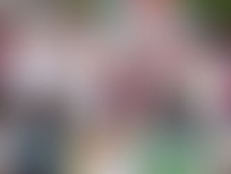 PRESENTA ARTURO BENAVIDES PROGRAMA “SINBA” (SIN BACHES)