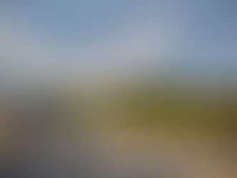 INICIA GOBIERNO DE MONTERREY PROGRAMA DE “PAISAJISMO”