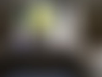 REGLAMENTA GUADALUPE ESTACIONAMIENTOS