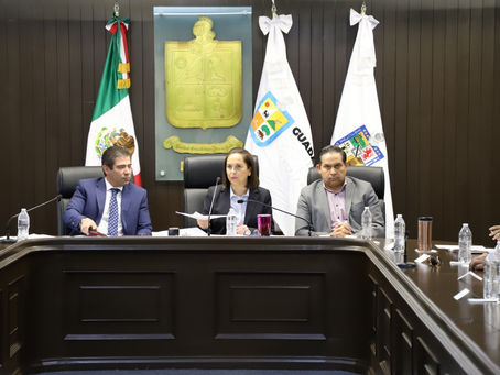 REGLAMENTA GUADALUPE ESTACIONAMIENTOS