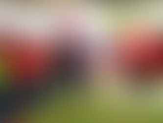 NIÑOS Y JOVENES DE ESCOBEDO SE SUMAN A CAMPAÑA PARA LA PREVENCIÓN DE ACCIDENTES