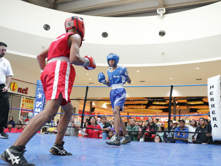 REALIZA JUÁREZ TORNEO DE BOX AMATEUR