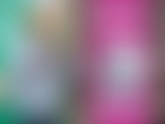 LLAMA MIJES A CONSTRUIR EN NL
UN GOBIERNO CERCANO A LA GENTE