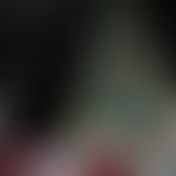 ENCABEZA PACO TREVIÑO EL TRADICIONAL ENCENDIDO DEL PINO NAVIDEÑO EN JUÁREZ