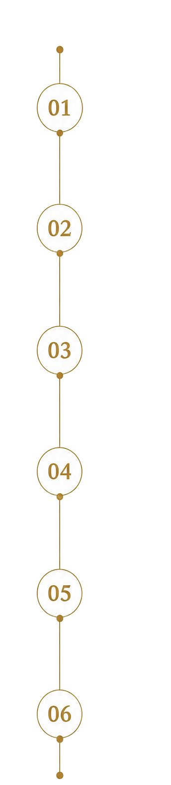 6 Säulen