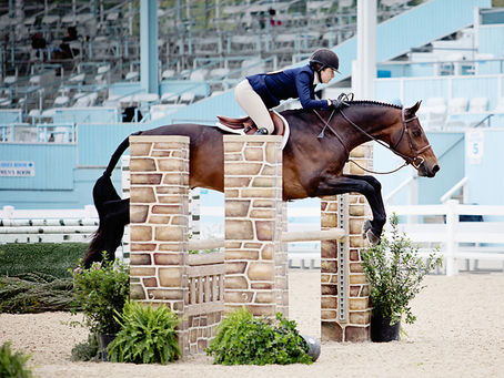 horsing around (a morning at the devon horse show)