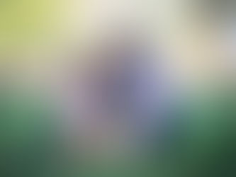 love is all you need