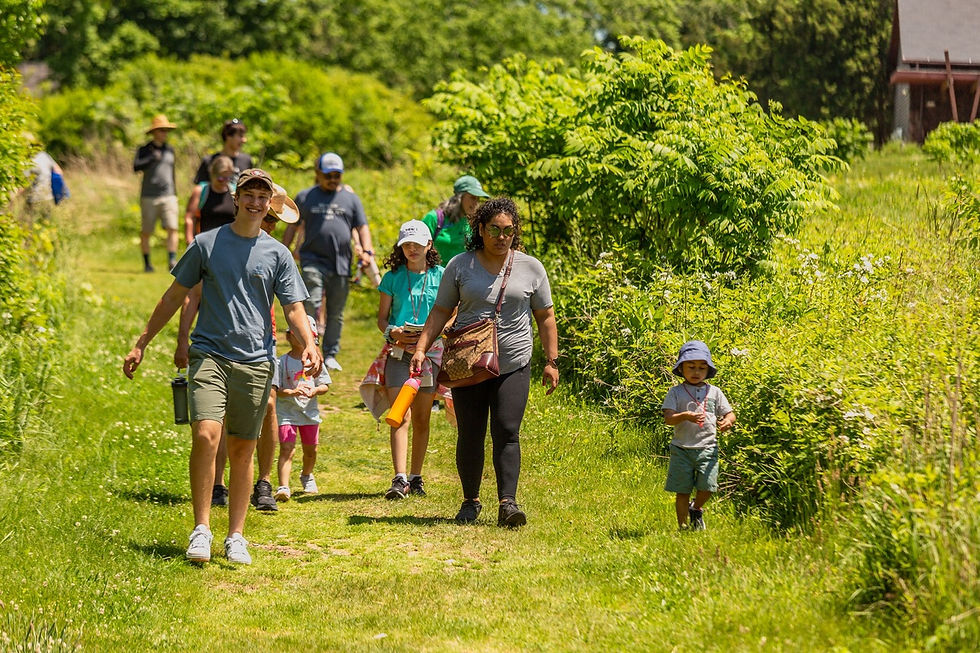 Family Hike