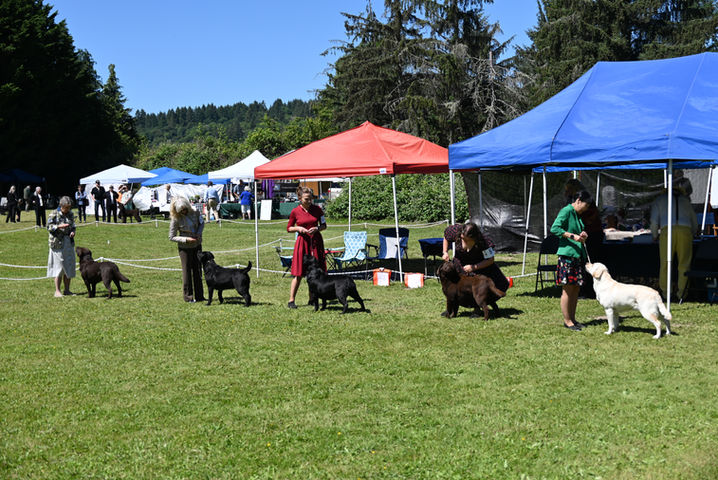 DSC_2279.JPG