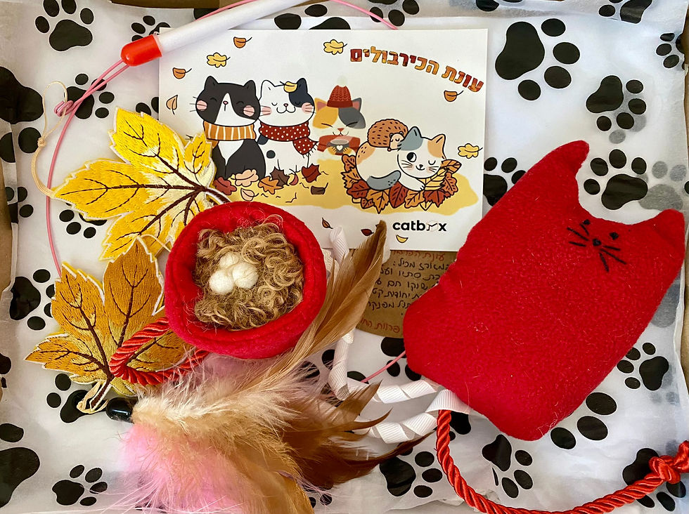 תמונה ממוזערת: קטבוקס - עונת הכרבולים- חד פעמי