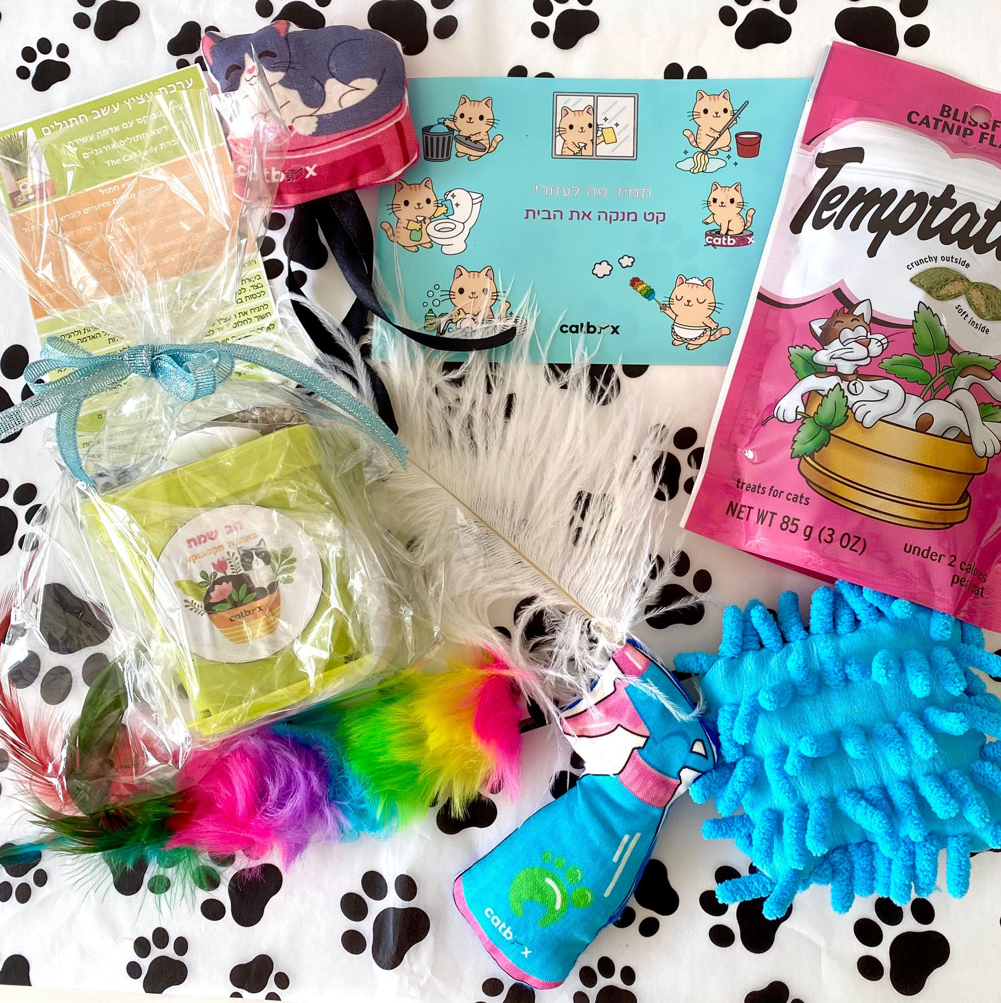 קטבוקס - קט מנקה את הבית