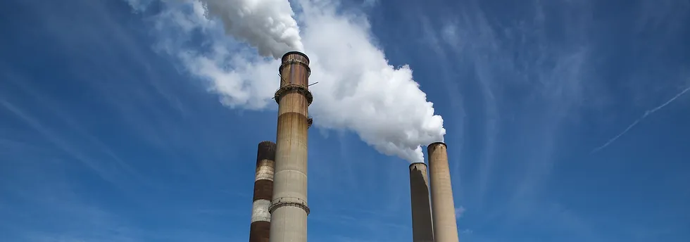 Environmental Toxins: Biomedical Healing for Kids | New York