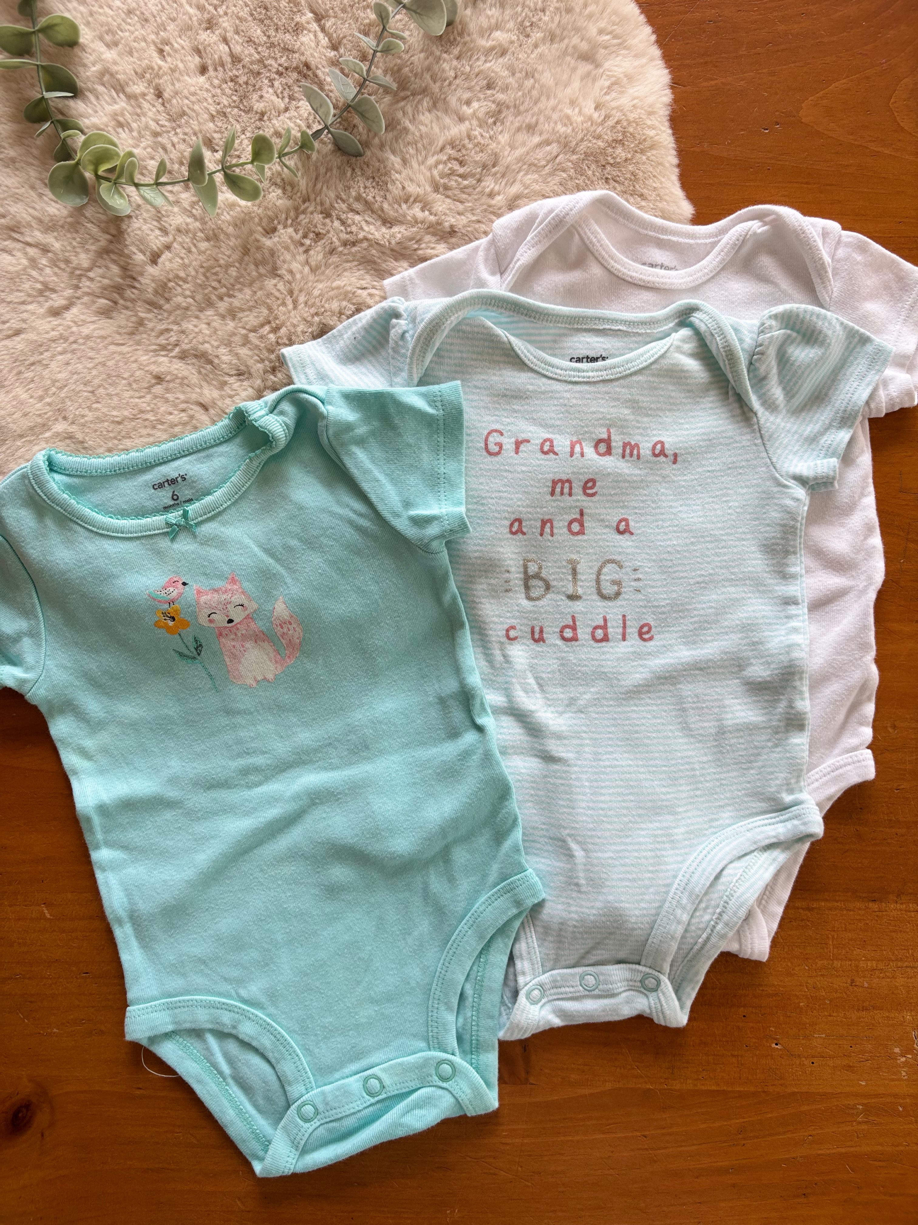 Trio de caches couche Carter’s 6 mois