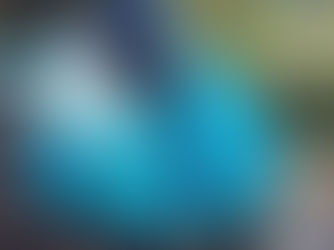 FOLIEN EXPERT unser neuer Partner!