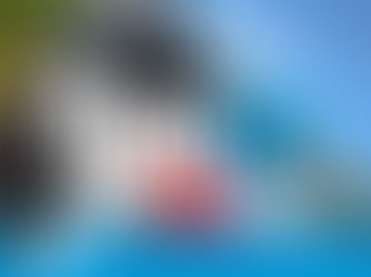 Pannoniaring one ✌️