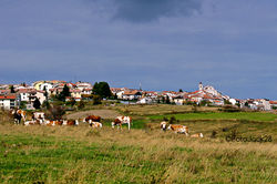Capracotta