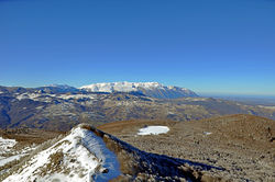 Prato Gentile Capracotta
