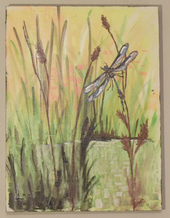 Dragonfly perched on tall reeds by water