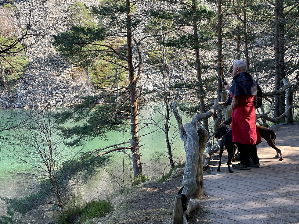 Outdoor Adventures Begin: June Escapes in Aviemore