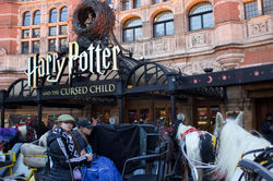 Harry Potter Theater