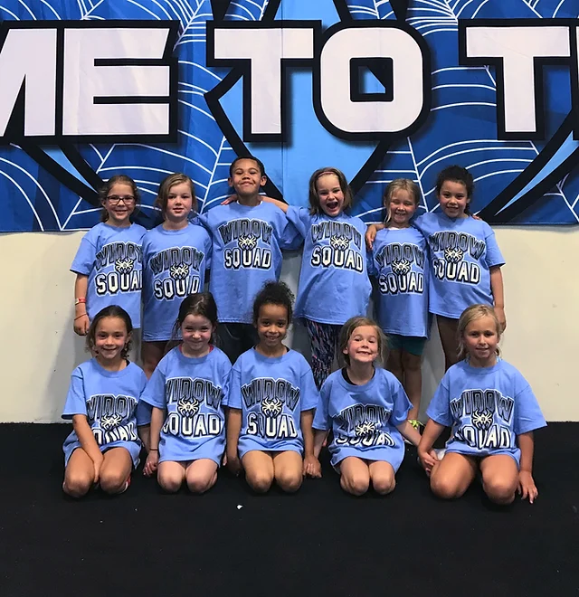 Rec Cheer Info Black Widow Cheer Gym In the spider npcs category.