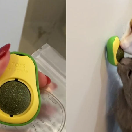 Por que o envio de tropas à américa latina pelos EUA deveria preocupar você?