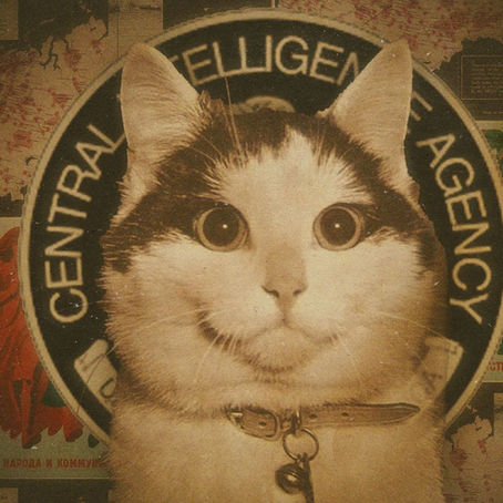 As aventuras militares de Donald Trump colocam o Brasil em risco? Análise na perspectiva da Inteligência.