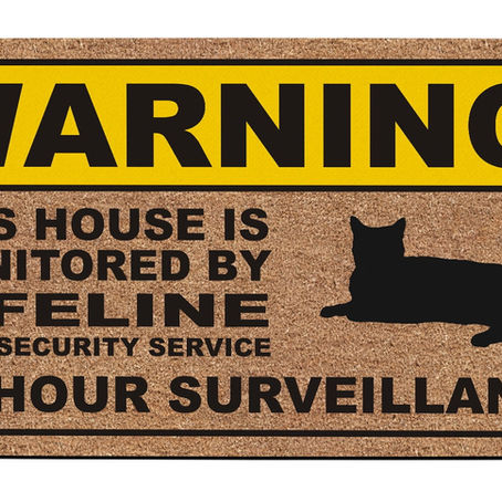 Por que sua vida pessoal é visada por chantagistas e sequestradores?