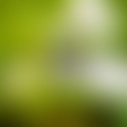 Proteger o meio ambiente é vital para o seu negócio? Entenda sobre essa disciplina de risco.