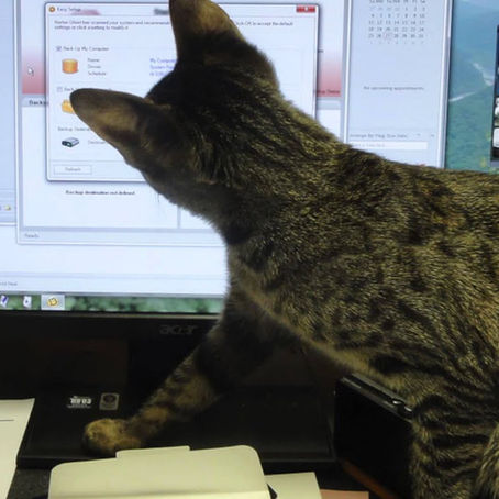 Como utilizar as redes sociais digitais com o mínimo de segurança?