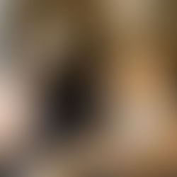 Como classificamos as fontes de Inteligência no Brasil?