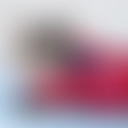 Por que antecipar e fiscalizar a ocupação de áreas de risco é tão importante para prevenir desastres?