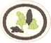 006323-Shrubs.png