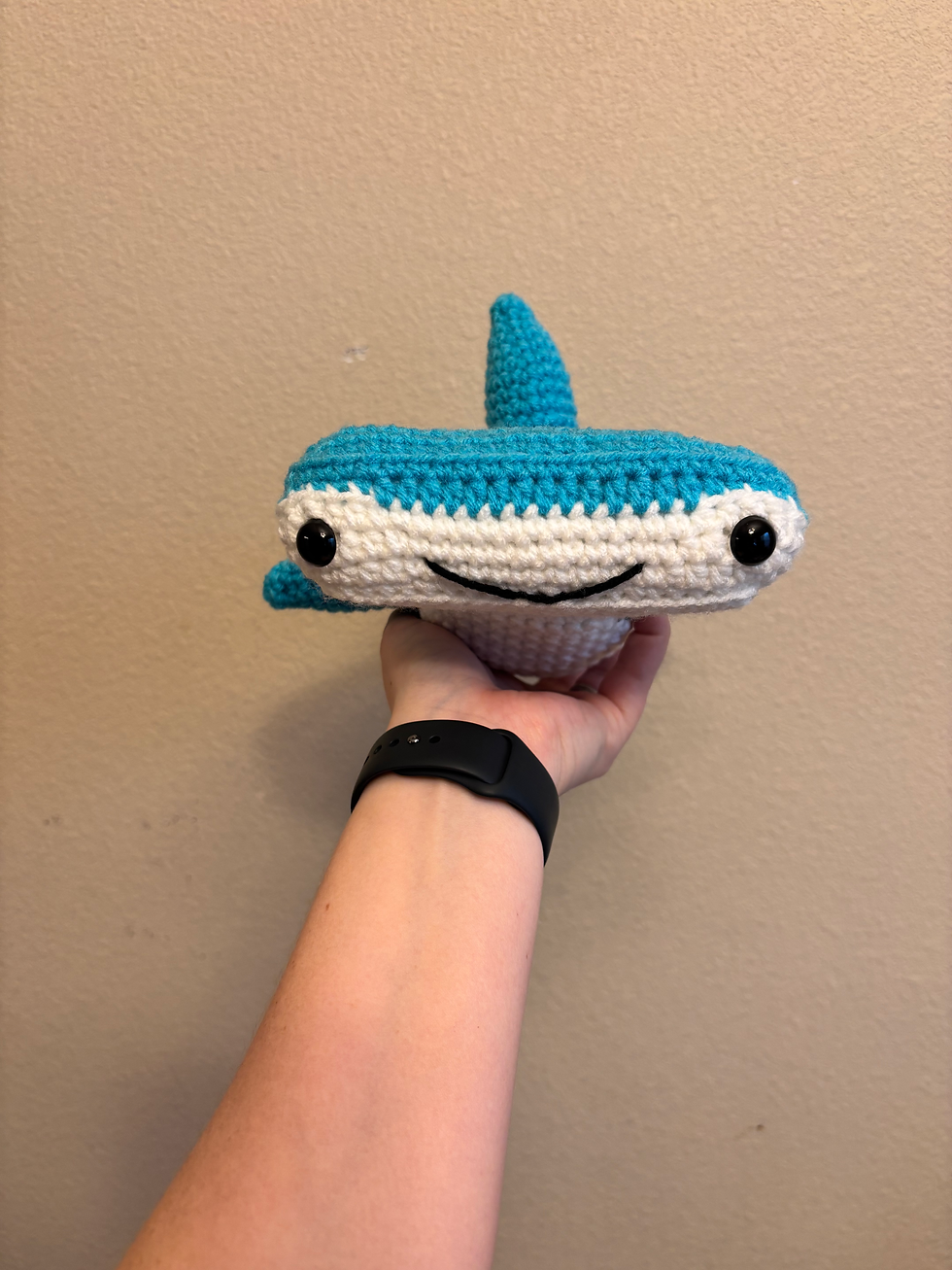 Sharks!