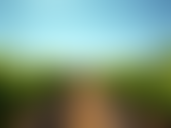 Discover the Allure of Rustic Ridge Vineyards