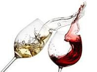 8 Signs You’re Tasting a Quality Wine