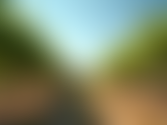 Experience the Magic of a Vineyard Visit