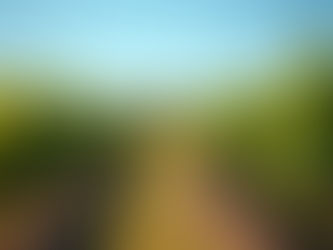 Why Rustic Ridge Vineyards Is a Must-Visit