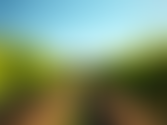 What Creates an Unforgettable Winery Experience?