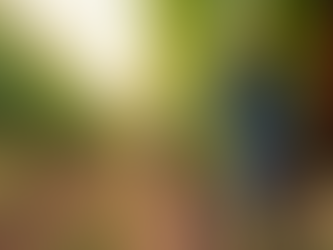 Unveiling the Charm of Rustic Ridge Vineyards