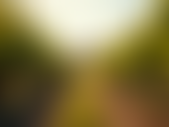 Crafting the Perfect Winery Experience