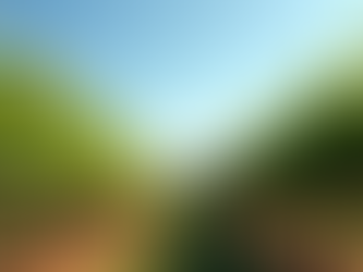 Discover the Magic of a Winery Experience