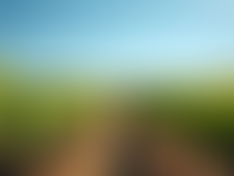 Discover the Secrets to a Memorable Winery Experience