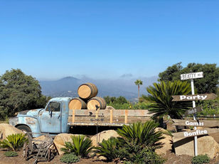 From Montezuma Mesa to Montepulcian Mountain: Discover Rustic Ridge Vineyards, SDSU's Neighbor