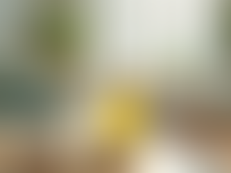 Eco-Friendly Mattress Cleaning Services in India