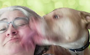 A dog playfully licking S. Jane Barnes’s face