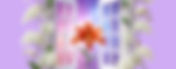 404 Error Page | 13tigerlilies