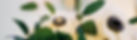 rings and flowers.jpg