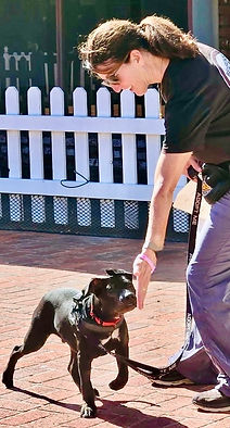 1278841814619054169 (1).jpg