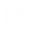 APDT_2.png